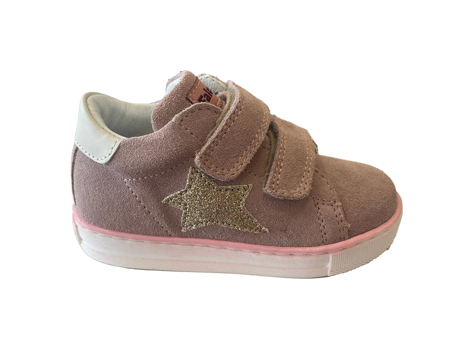 Falcotto (Fo21)