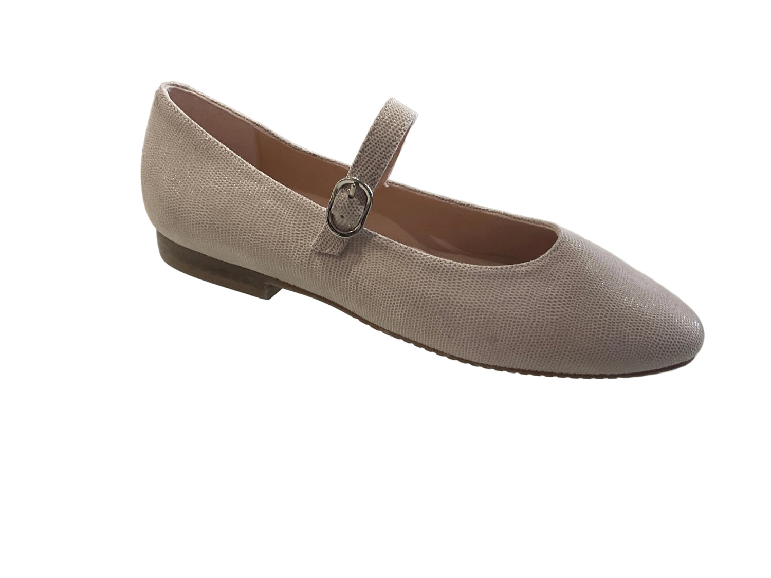 Brunella (bn3)