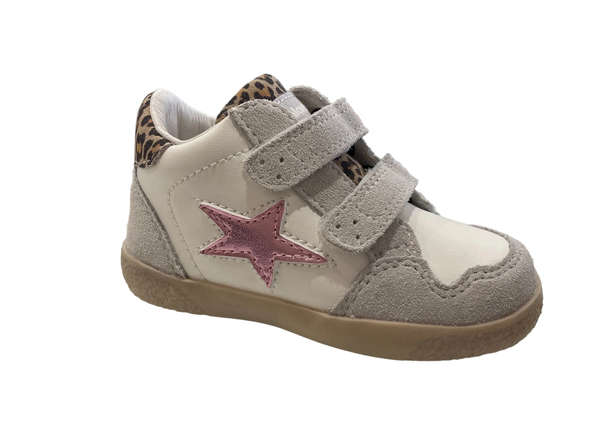 Falcotto (fo24)