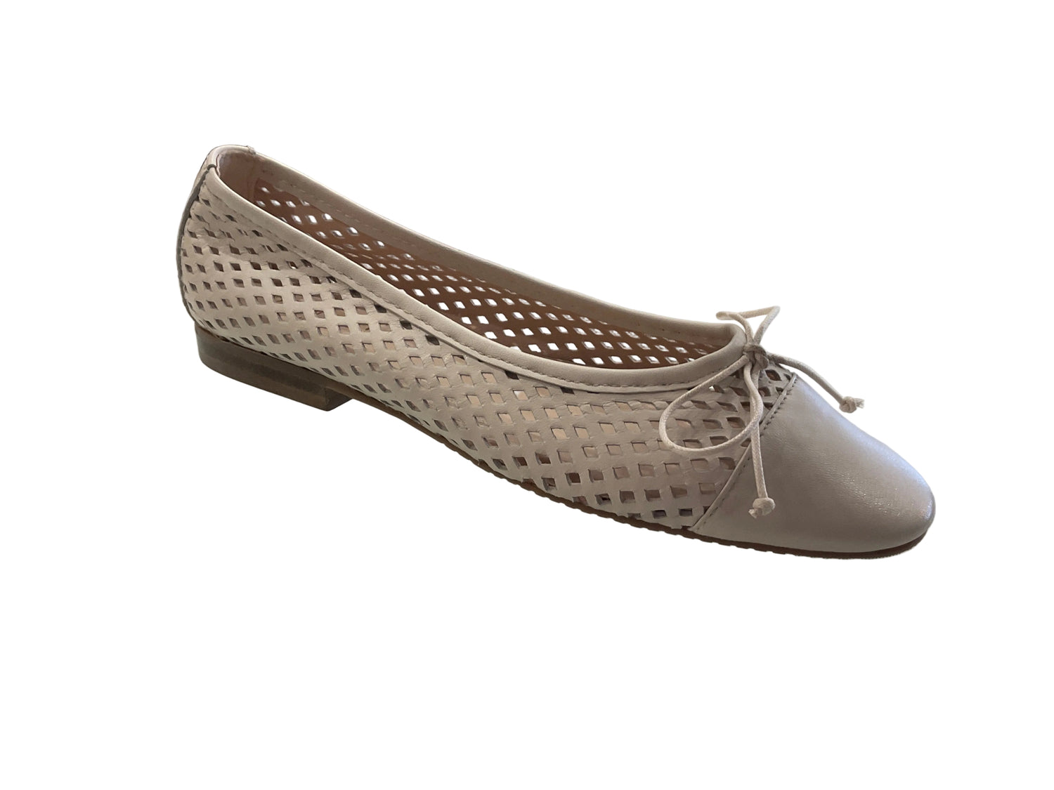 Brunella (bn13)