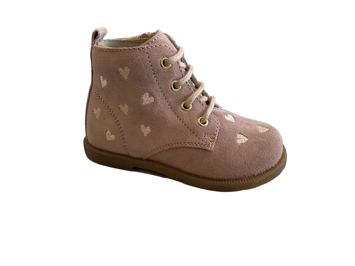 Falcotto (fo22)