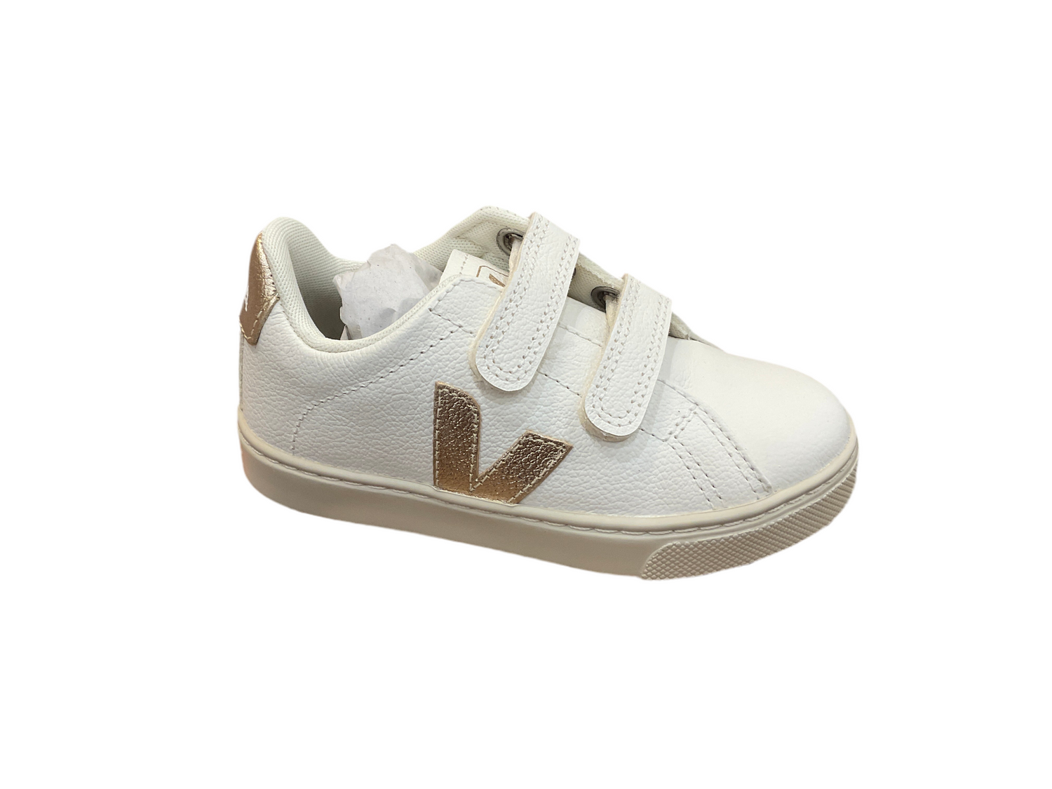 Vejas ￼(vj27)