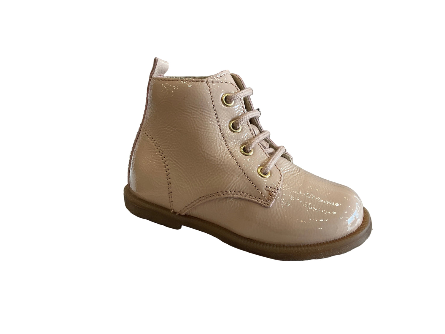 Falcotto(Fo21)