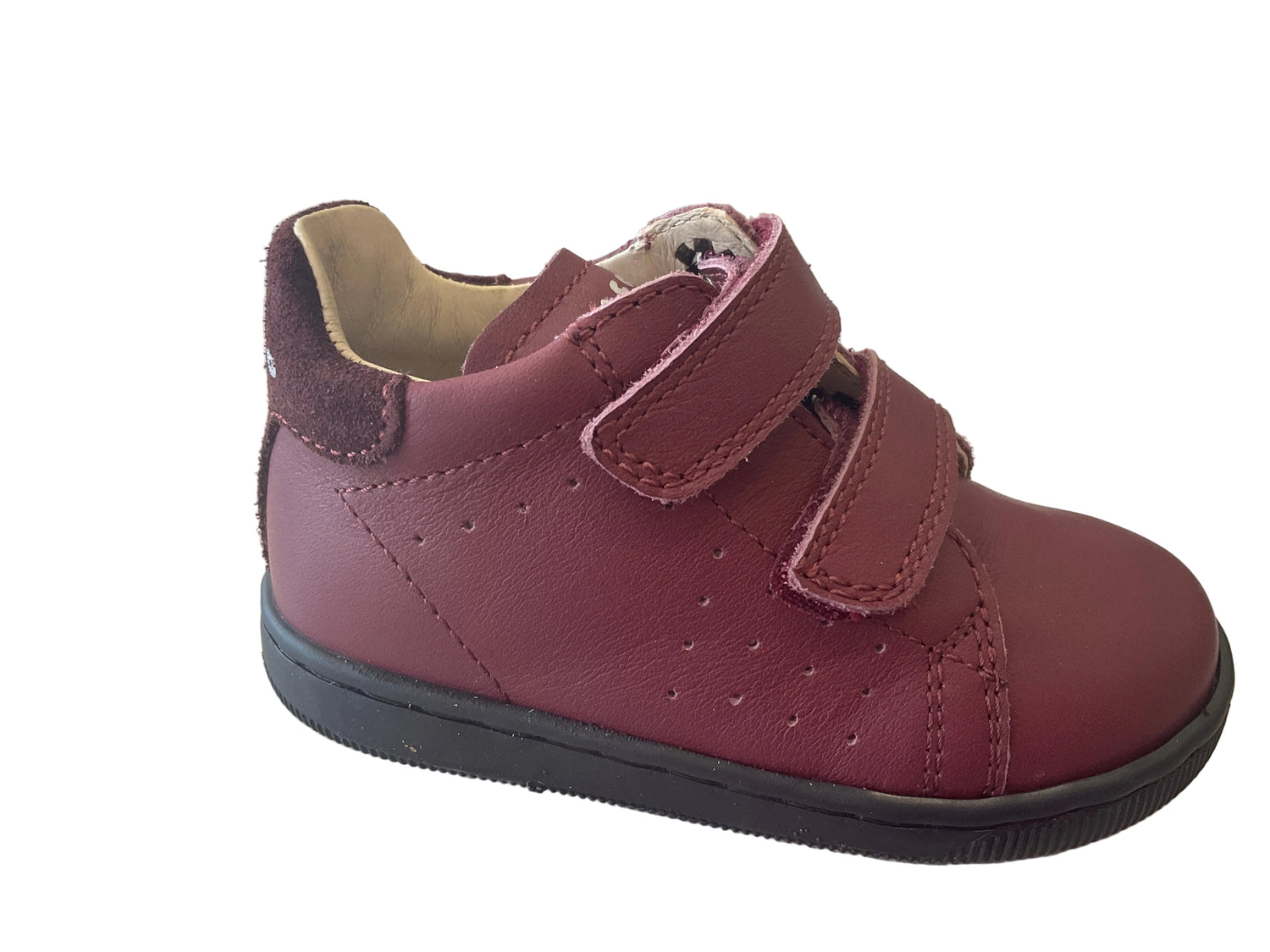 Falcotto (Fo20)
