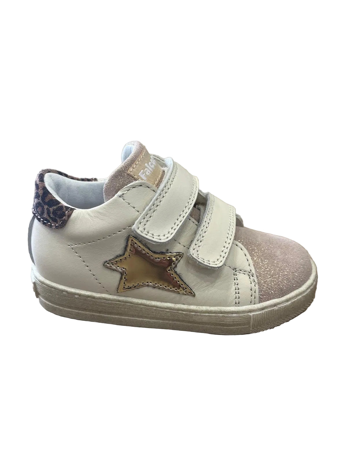 Falcotto (Fo12)